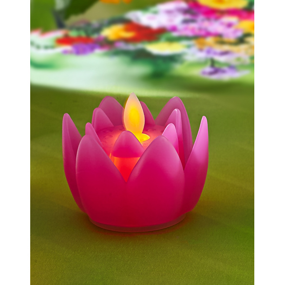 Fleur LED, fuchsia
