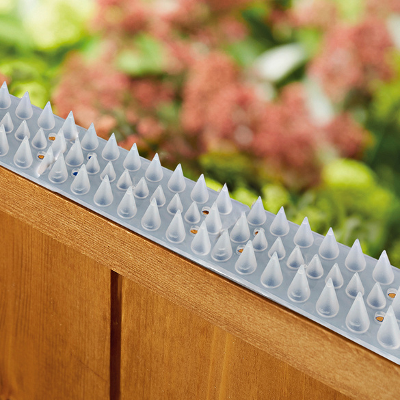 Lot De 10 Bandes élastiques Pour Chaises - TPE Doux, Réduit Le Bruit En Classe