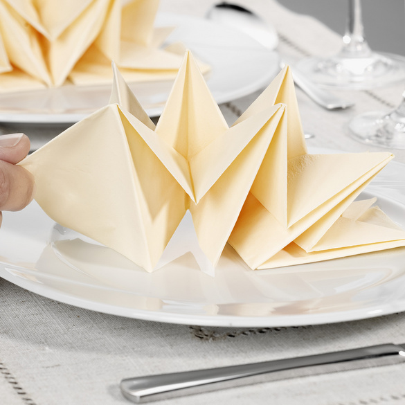 Lot de 12 serviettes pliées, vert