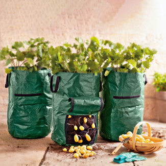 Lot de 10 sacs à plantes, accessoires pour plantes, sac à plantes