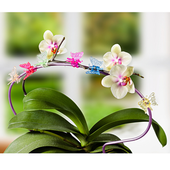 Lot de 6 clips pour plantes Papillon