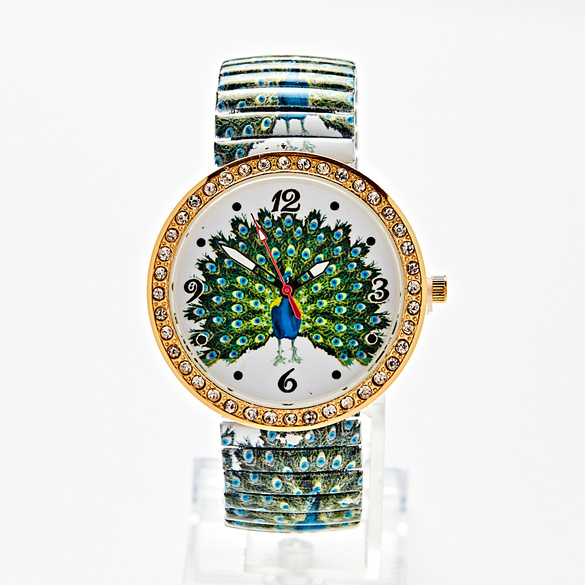 Montre-bracelet 