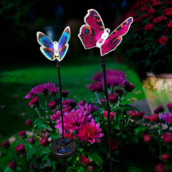 Papillon solaire pour le jardin, violet