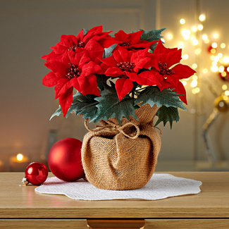 Fleur Artificielle De Tige De Poinsettia Rouge 3 Fleurs 85cm