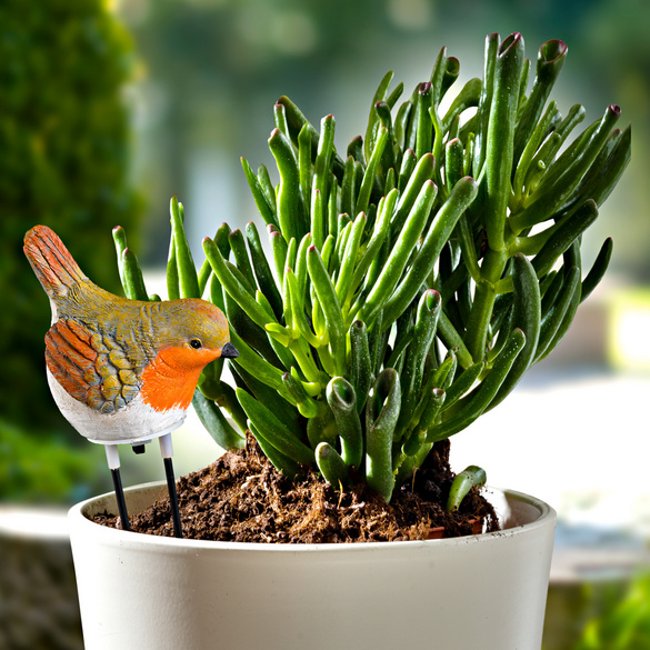 Avertisseur d'arrosage pour plantesOiseau