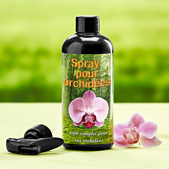 Spray pour orchidées
