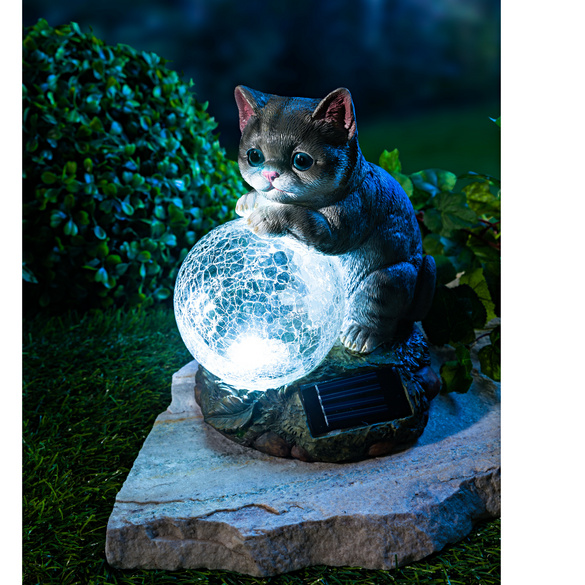 Chat avec boule solaire