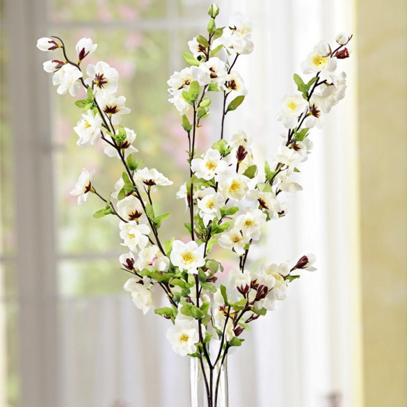 Branche de pommier fleurie, blanc