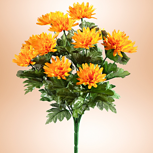 Bouquet d'asters, orange