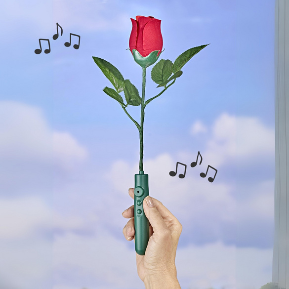 Rose musicale