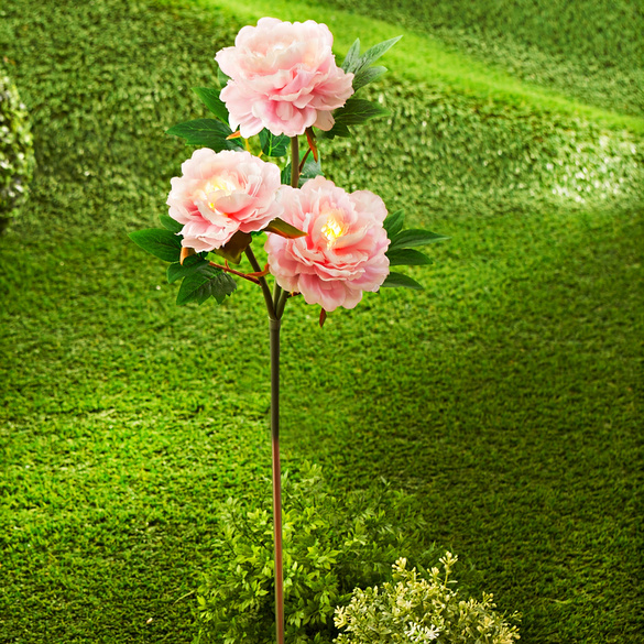 Piquet Pivoine solaire pour le jardin, rose