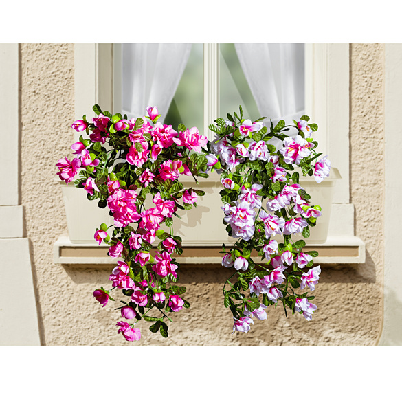 Azalée, rose