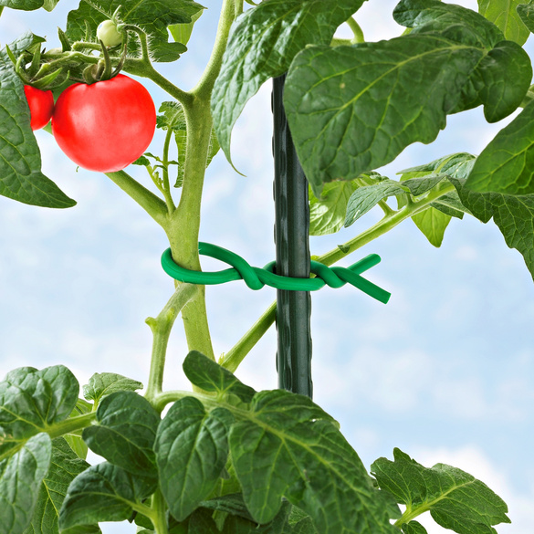 Attache ultra-souple, vert