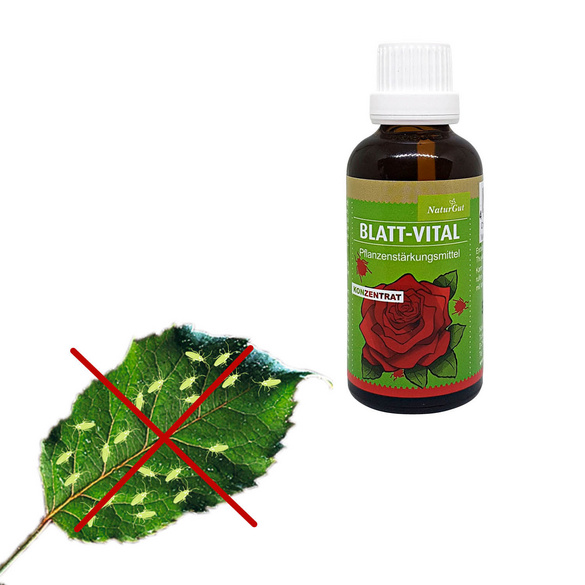 Concentré anti-pucerons