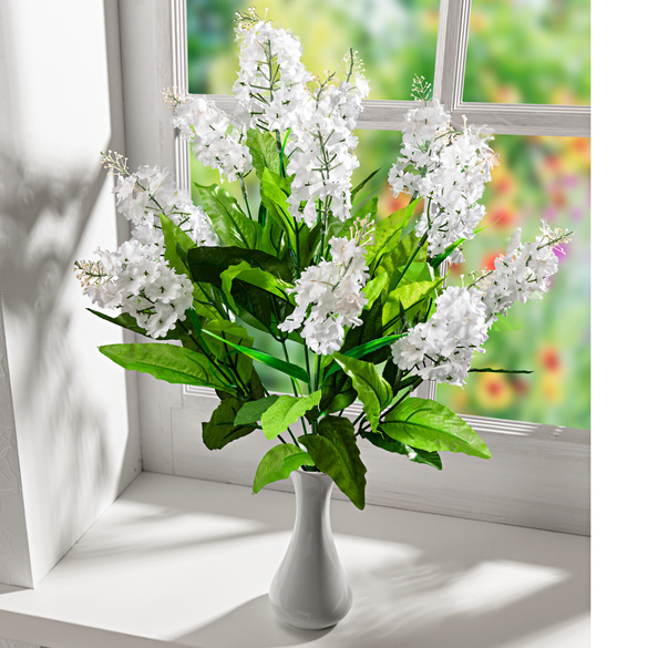Bouquet de lilas, blanc