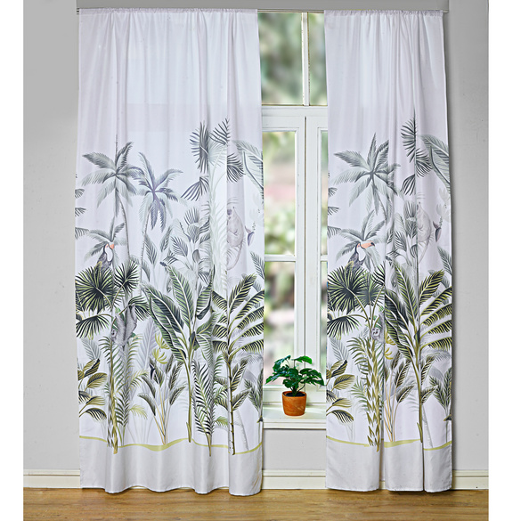 rideau palmier