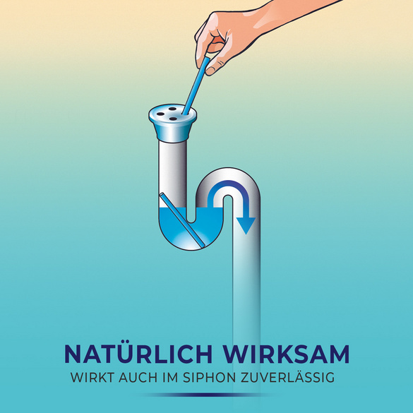 Lot de 12 bâtonnets pour conduites Lavande CLARSEN