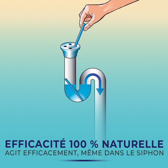 Lot de 12 bâtonnets pour conduites Lavande CLARSEN