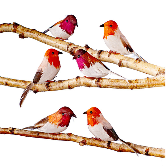 Lot de 6 oiseaux