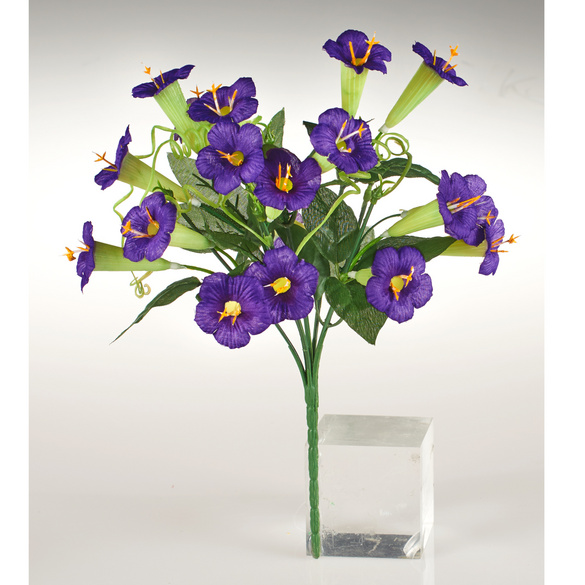Bouquet de pétunias, violet
