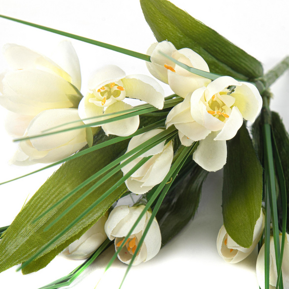 Bouquet de crocus, blanc