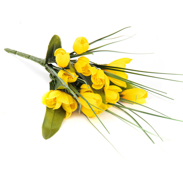 Bouquet de crocus, jaune