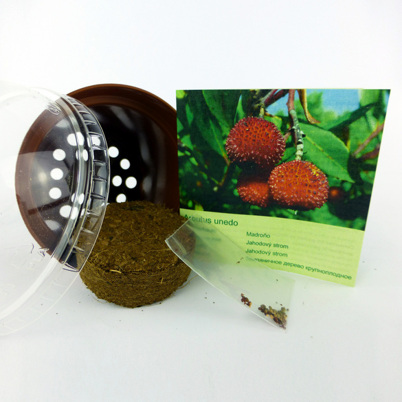 Set de culture Arbre aux fraises