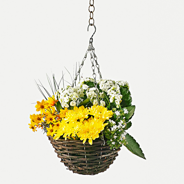 Panier pour plantes retombantes