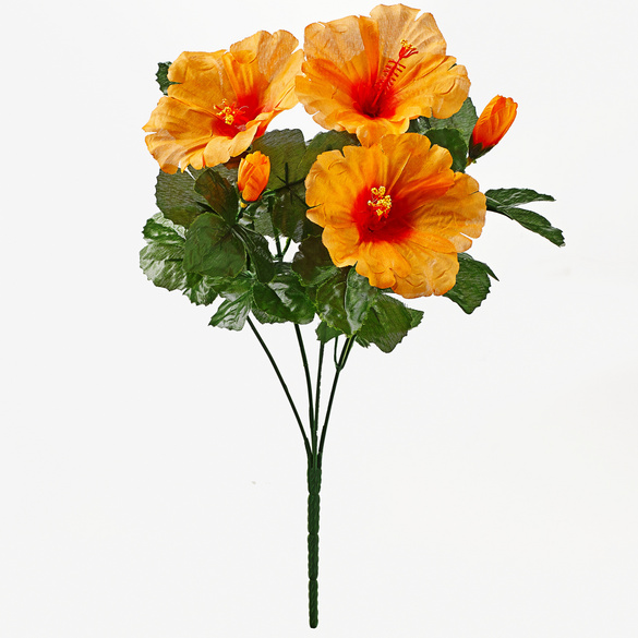 Bouquet d’hibiscus, orange