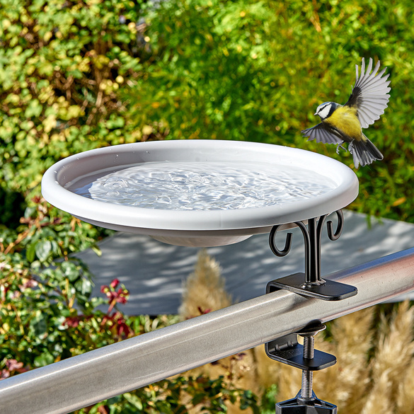 Mangeoire extérieure pour oiseaux sauvages, grand bain d'oiseaux