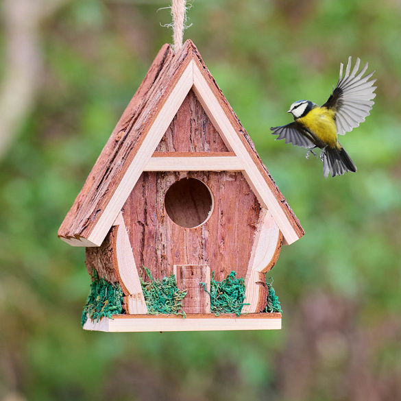 Maison d'oiseaux sur pied en bois naturel