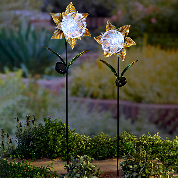 Fleur solaire en fibre de verre Casa Bonita