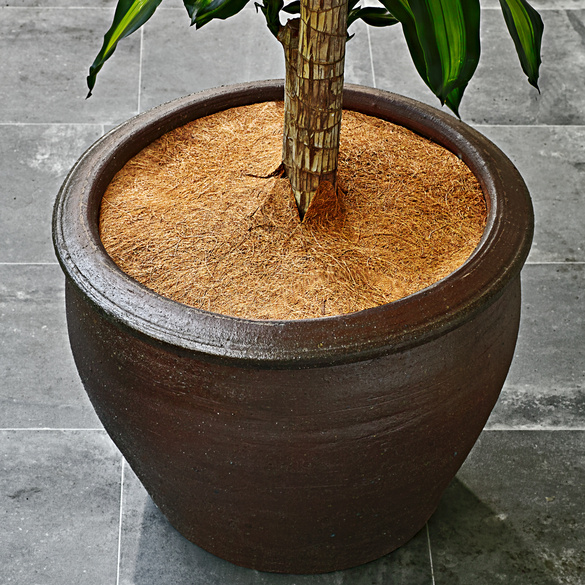 Natte de protection en coco pour plantes Gainsborough