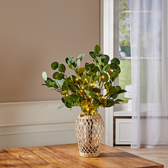 Lot de 2 rameaux d'eucalyptus LED