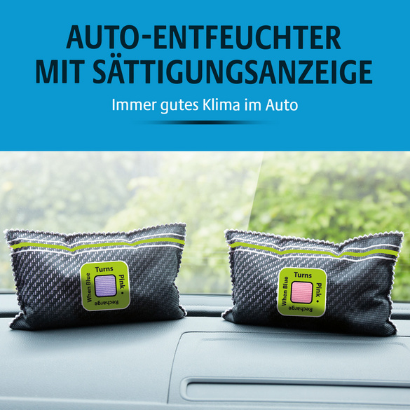 Déshumidificateur pour voiture avec indicateur Victor Tools