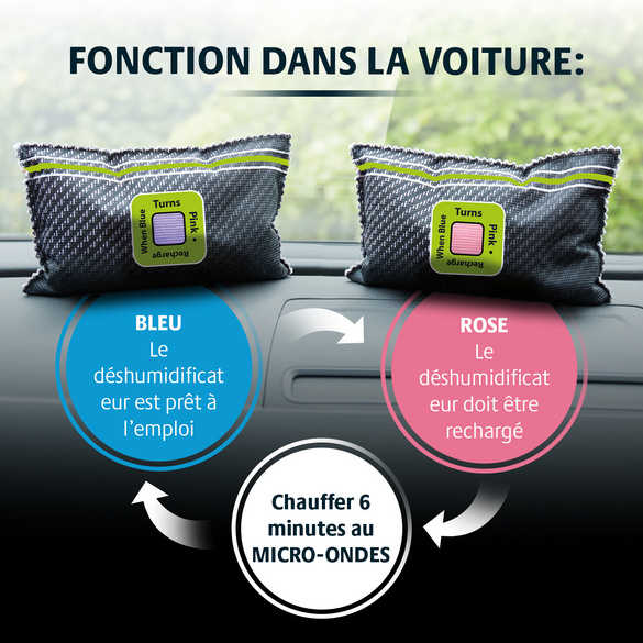 Déshumidificateur pour voiture avec indicateur Victor Tools