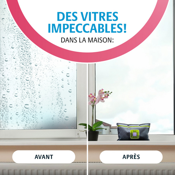 Déshumidificateur pour voiture avec indicateur Victor Tools