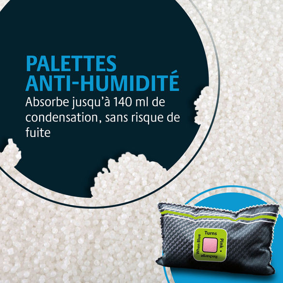 Déshumidificateur pour voiture avec indicateur Victor Tools