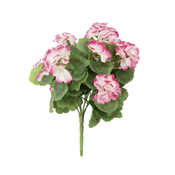 Bouquet de géraniums, fuchsia/blanc Gainsborough