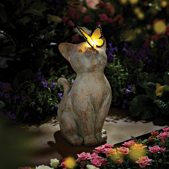 Chat avec papillon solaire Gainsborough