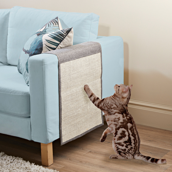 Griffoir pour chats Clarsen