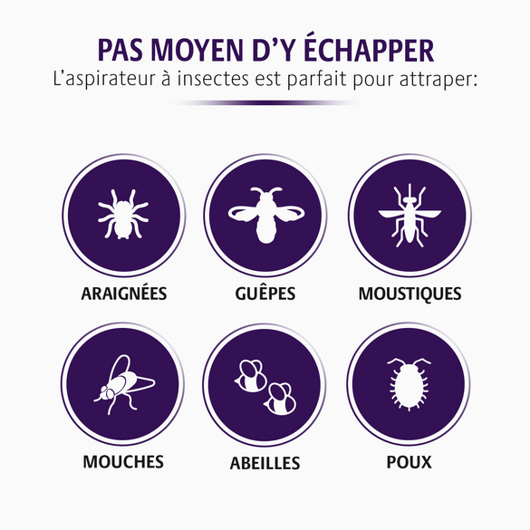 Aspirateur à insectes
