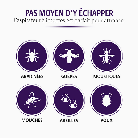 Aspirateur à insectes
