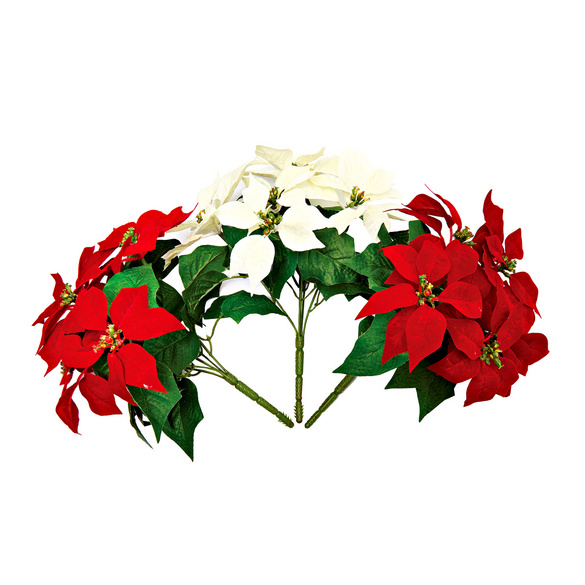 Lot de 3 poinsettias Gainsborough