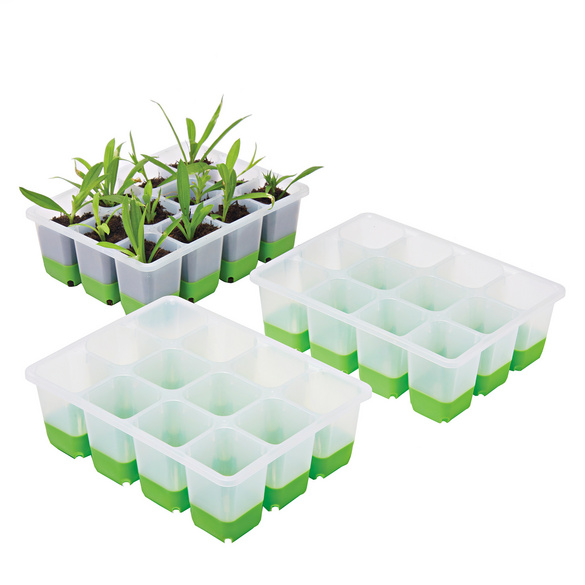 Lot de 3 caissettes de culture Gainsborough