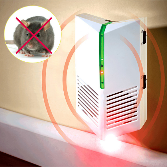 Répulsif pour rats et souris