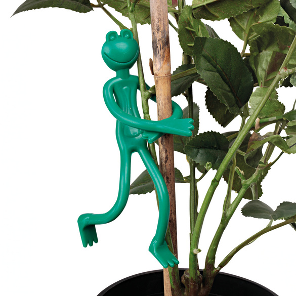 Lot de 10 pinces pour plantes "Grenouille" Gainsborough