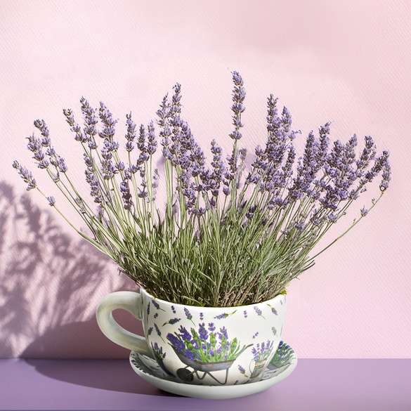 Pot de fleurs Tasse à plantes "Lavande" en céramique grand modèle