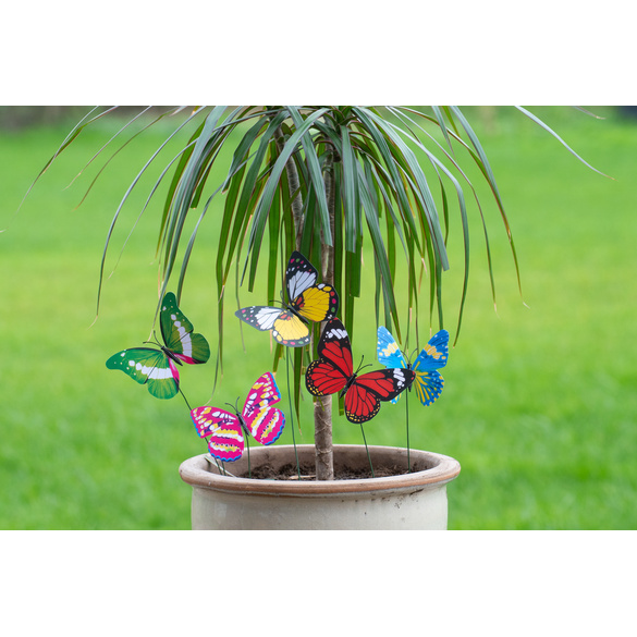 Set de 5 papillons à clipser