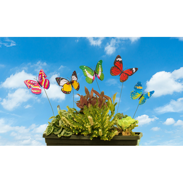 Set de 5 papillons à clipser